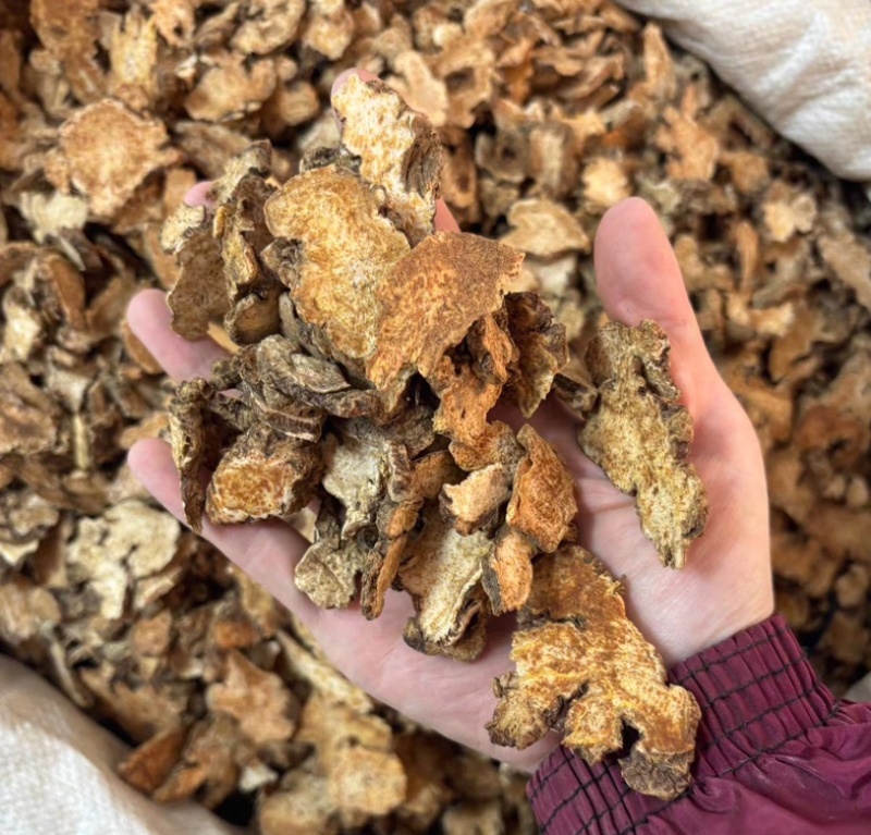 苍术江苏茅苍术东北苍术量大从优品质保证一手货源产地直发