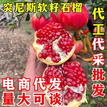 突尼斯软籽石榴一件代发会理软籽石榴电商供应