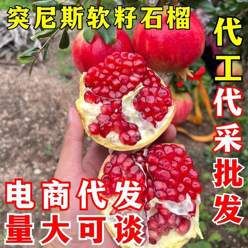 突尼斯软籽石榴一件代发会理软籽石榴电商供应
