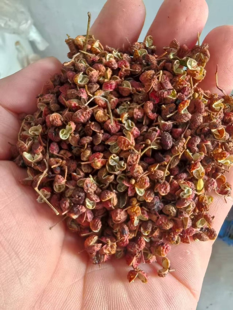 花椒品质保证服务周到产地直发价格美丽欢迎联系