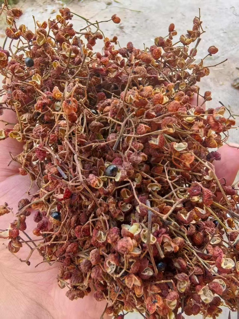 花椒品质保证服务周到产地直发价格美丽欢迎联系
