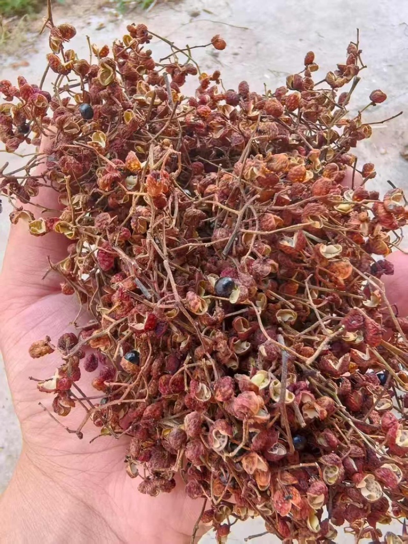 花椒品质保证服务周到产地直发价格美丽欢迎联系