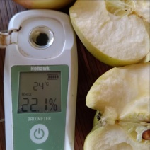 自己果园里的青森水蜜桃苹果，口感纯正，欢迎品尝量大从优