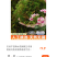贵州干苔藓蝴蝶兰石斛乌龟多用途批发