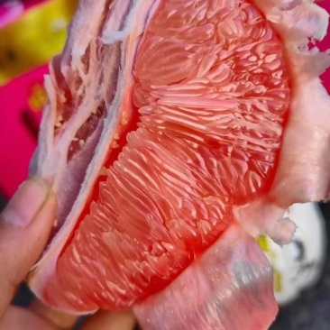 【推荐】平和县柚子，葡萄柚红心柚品种规格齐全