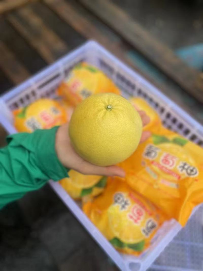 【推荐】平和县柚子，葡萄柚红心柚品种规格齐全