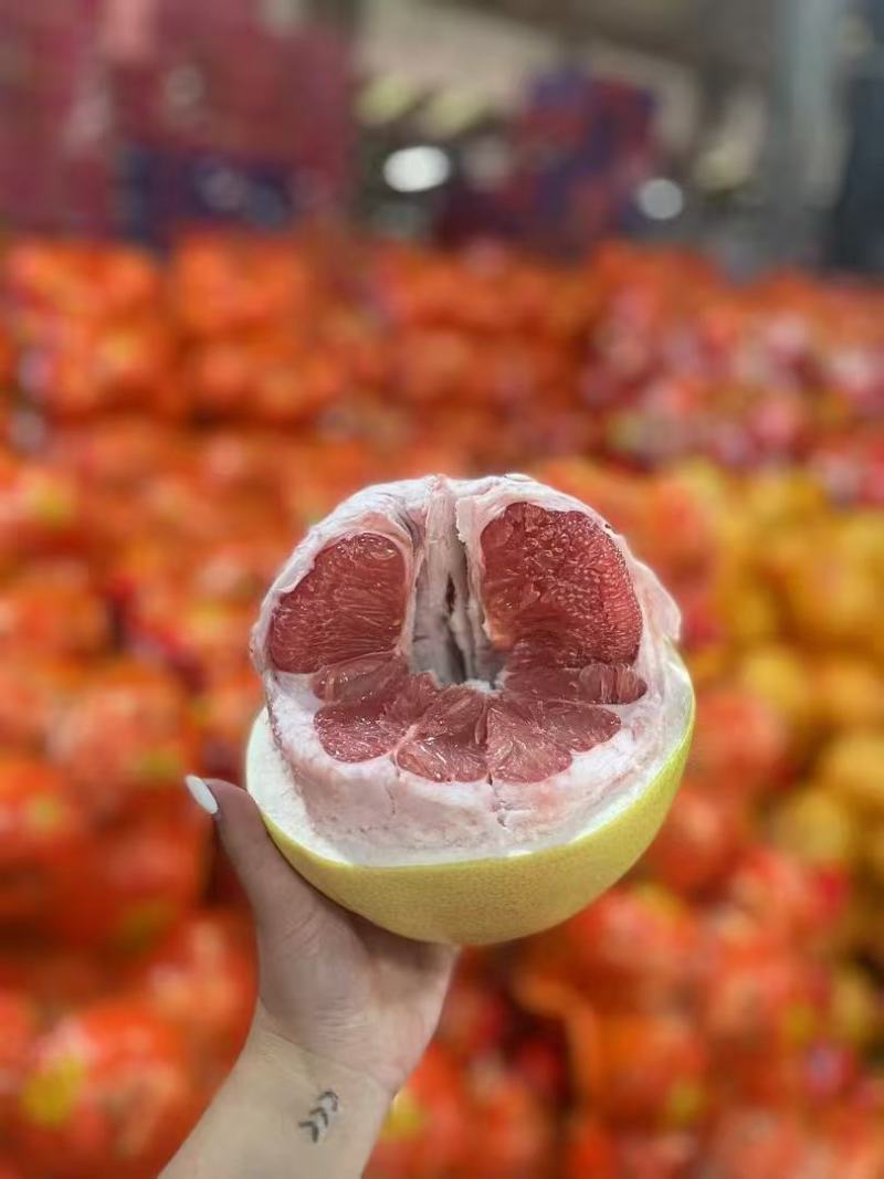 【推荐】平和县柚子，葡萄柚红心柚品种规格齐全