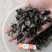 黑木耳精品，自己基地直发，价格美丽