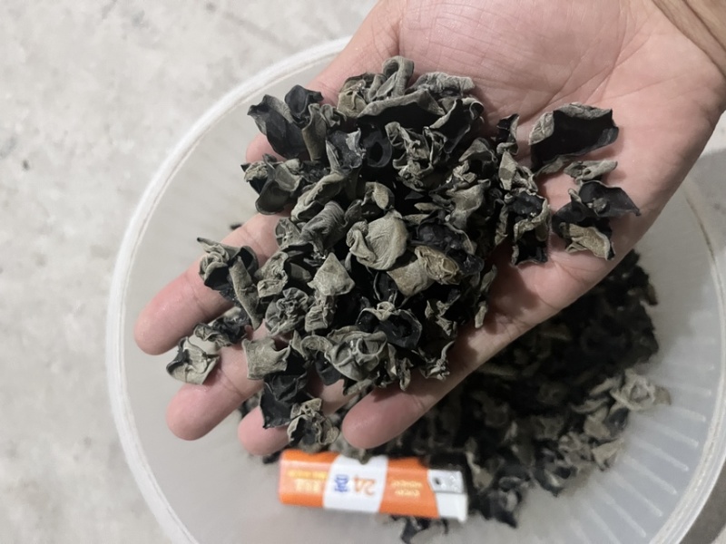 黑木耳精品，自己基地直发，价格美丽