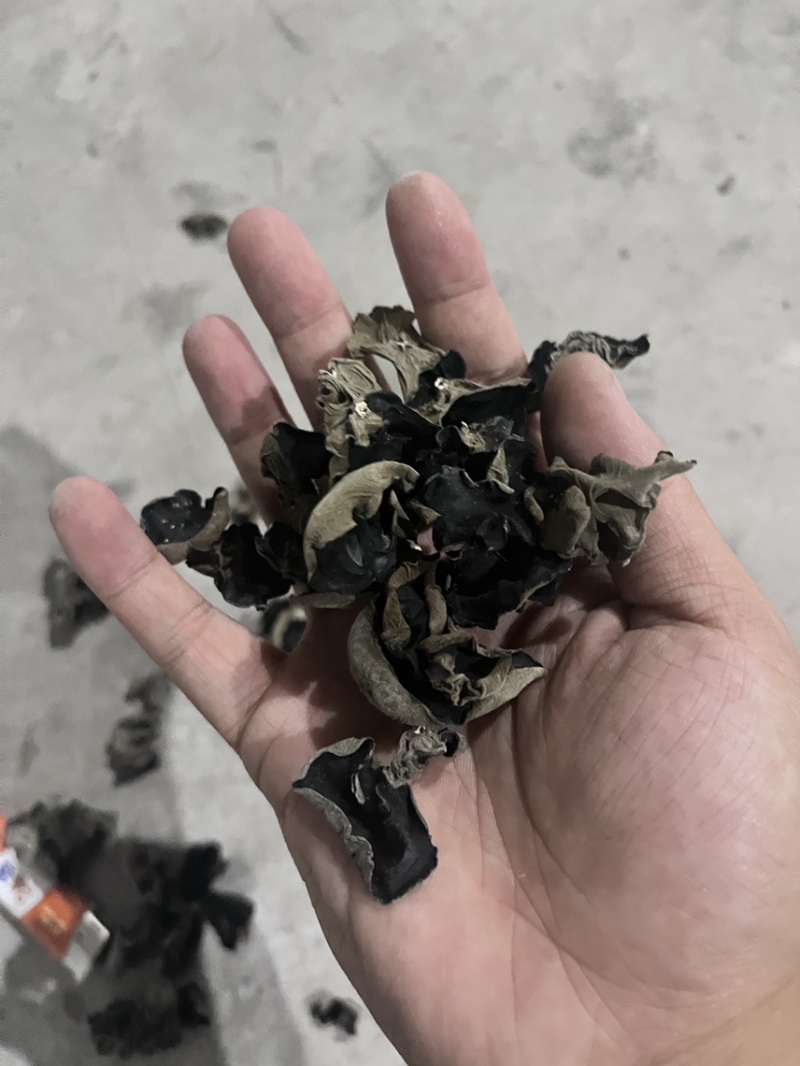 黑木耳精品，自己基地直发，价格美丽