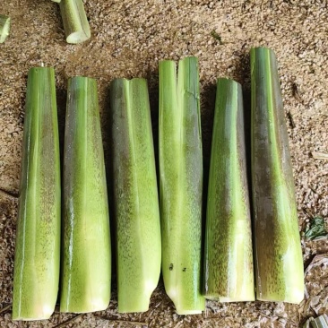 茭白基地直发品质保证量大从优