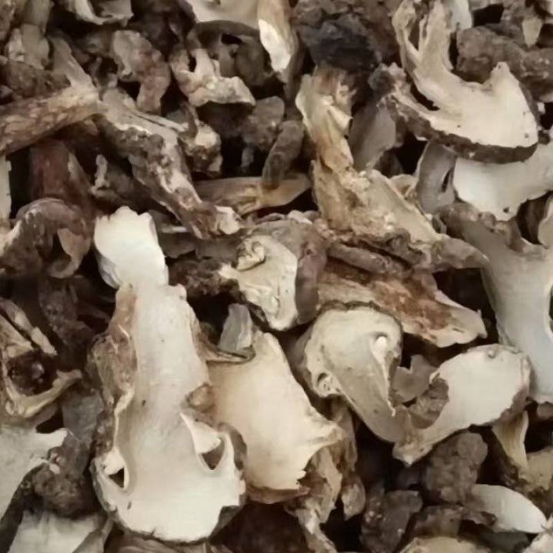 云南童茸干片/松茸干片大量接单产地直发量大从优欢迎来电