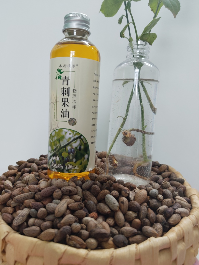 青刺果油
