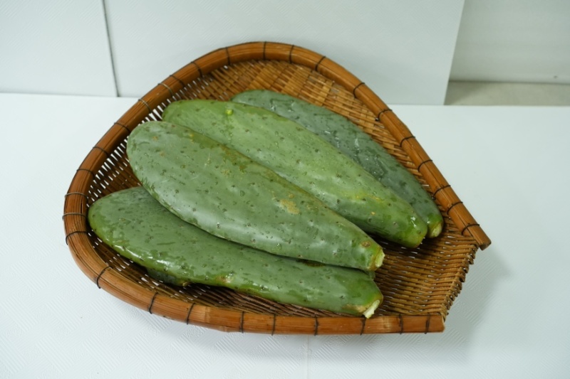 仙人掌叶片常年供应价格优惠品质好对接电商商超欢迎来电咨询