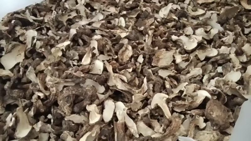 云南童茸干片/松茸干片大量接单产地直发量大从优欢迎来电
