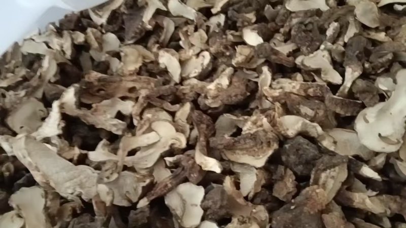 云南童茸干片/松茸干片大量接单产地直发量大从优欢迎来电