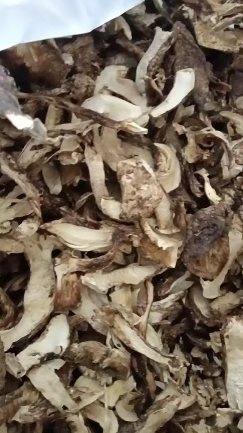 云南开伞松茸干片大量接单产地直发量大从优欢迎来电