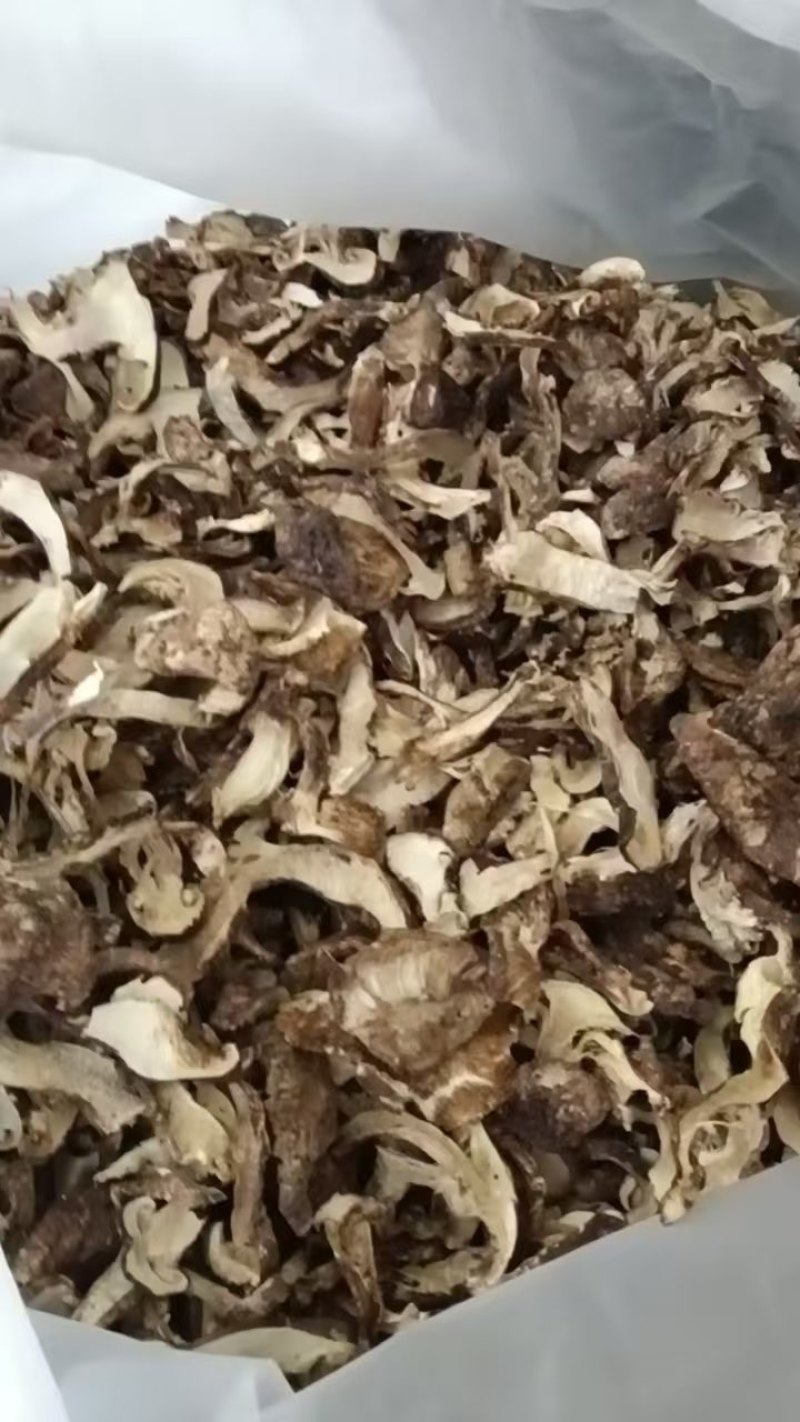 云南开伞松茸干片大量接单产地直发量大从优欢迎来电