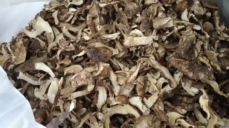 云南开伞松茸干片大量接单产地直发量大从优欢迎来电