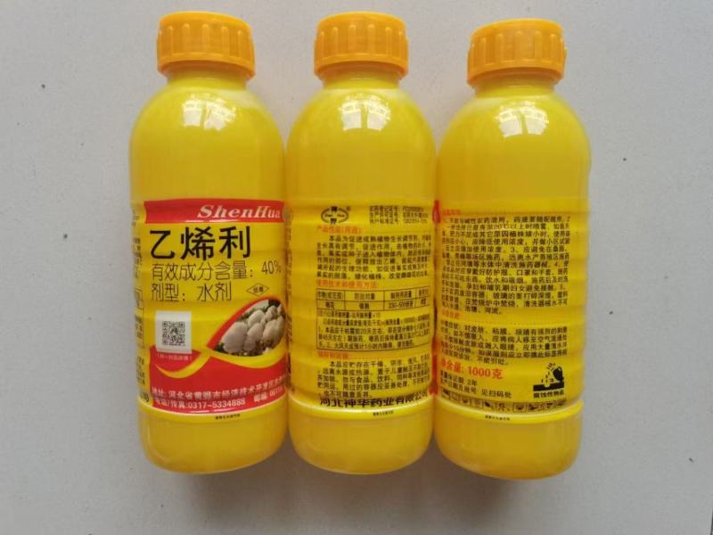 40%乙烯利-河北神华调节剂促进瓜果成熟