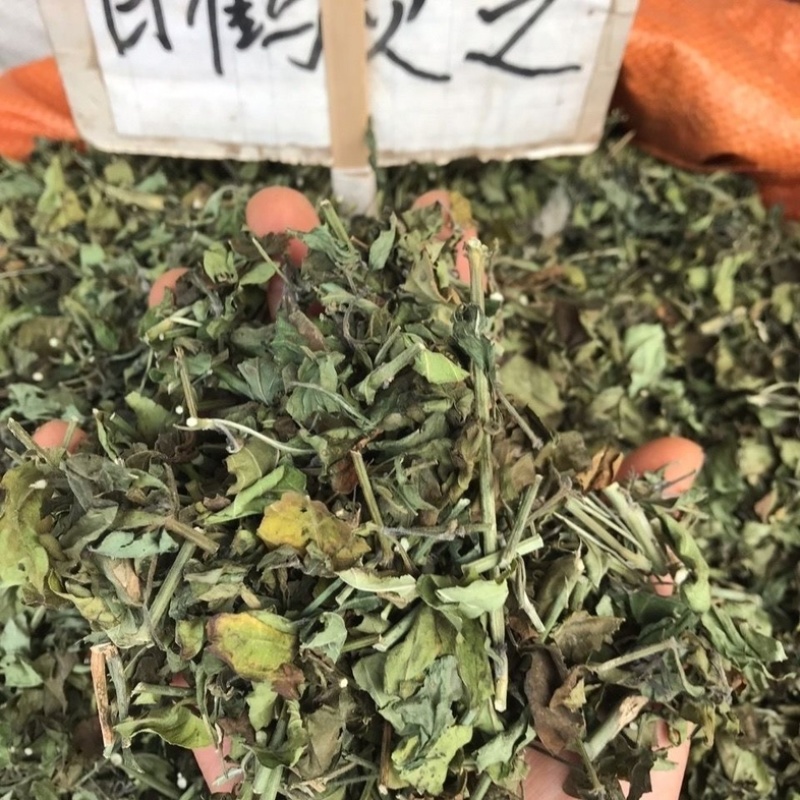 白鹤灵芝草中药材冷背中药材大全批发零售货真价实