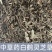 白鹤灵芝草中药材冷背中药材大全批发零售货真价实