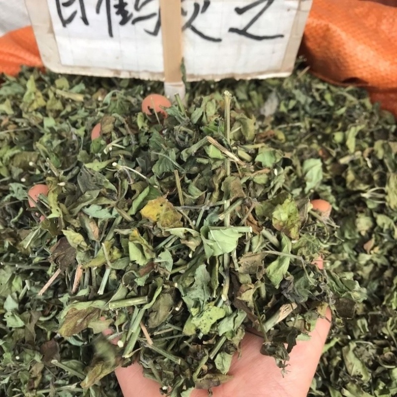 白鹤灵芝草中药材冷背中药材大全批发零售货真价实