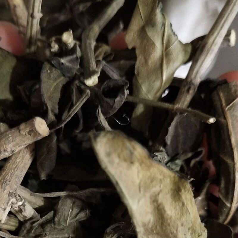 白鹤灵芝草中药材冷背中药材大全批发零售货真价实