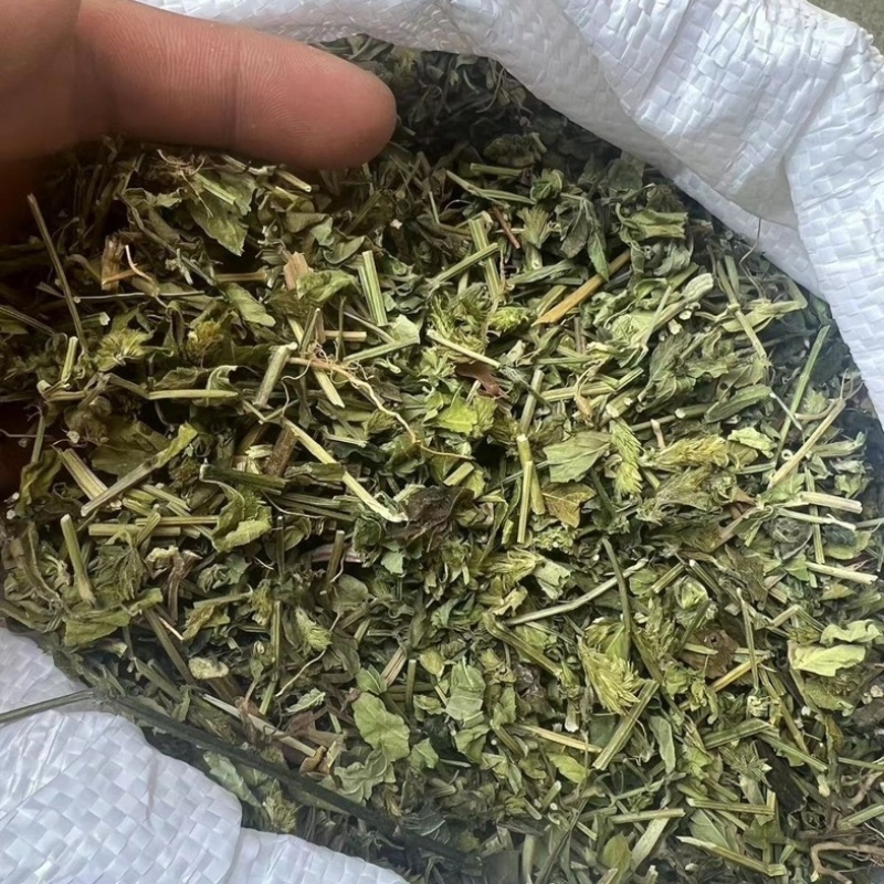 白鹤灵芝草中药材冷背中药材大全批发零售货真价实