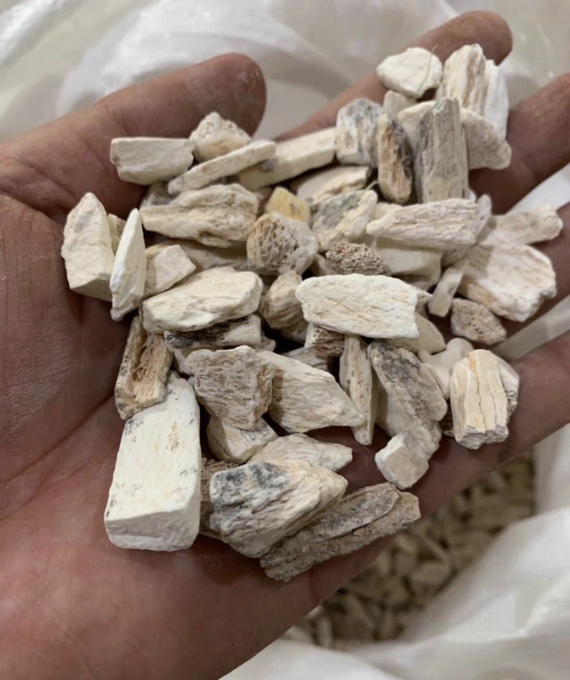 龙骨，龙牙，龙骨粉