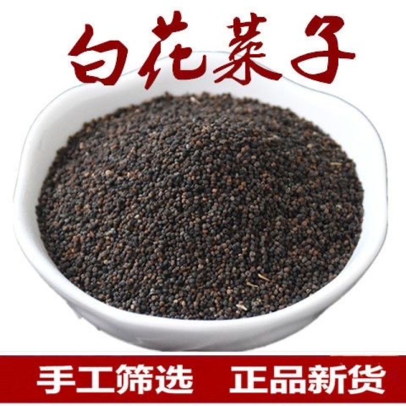 白花菜子中药材野生药材冷背中药大全批发零售