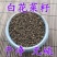 白花菜子中药材野生药材冷背中药大全批发零售