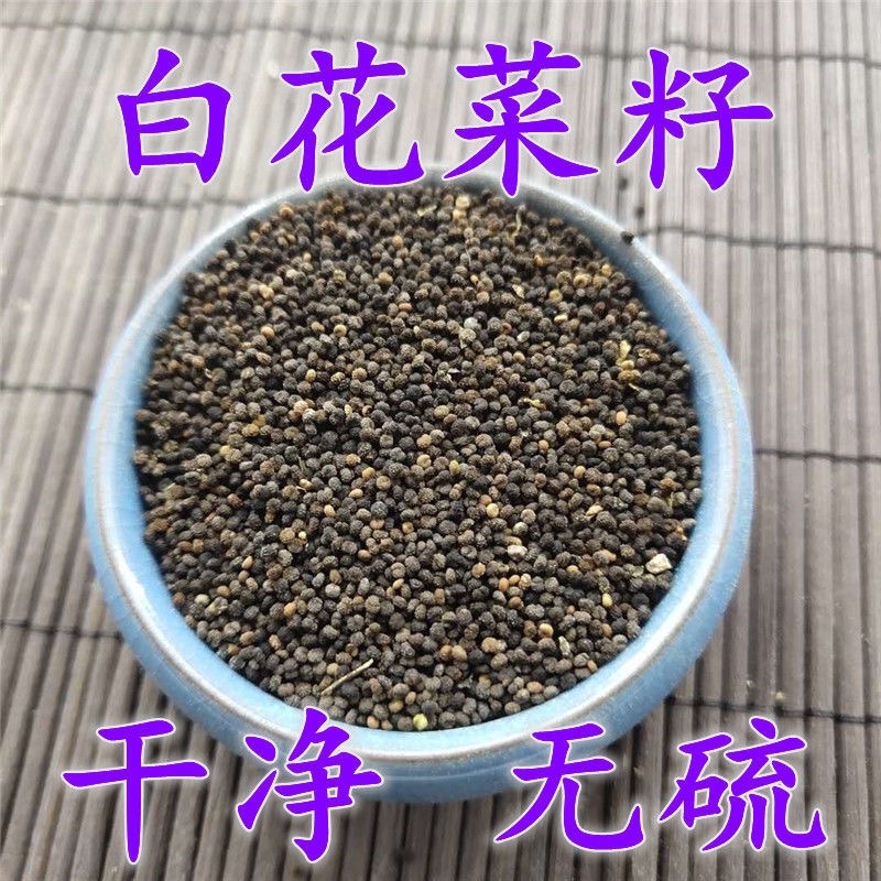 白花菜子中药材野生药材冷背中药大全批发零售