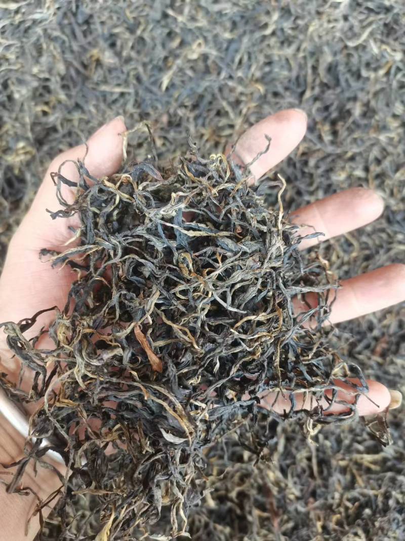 茶叶古树茶