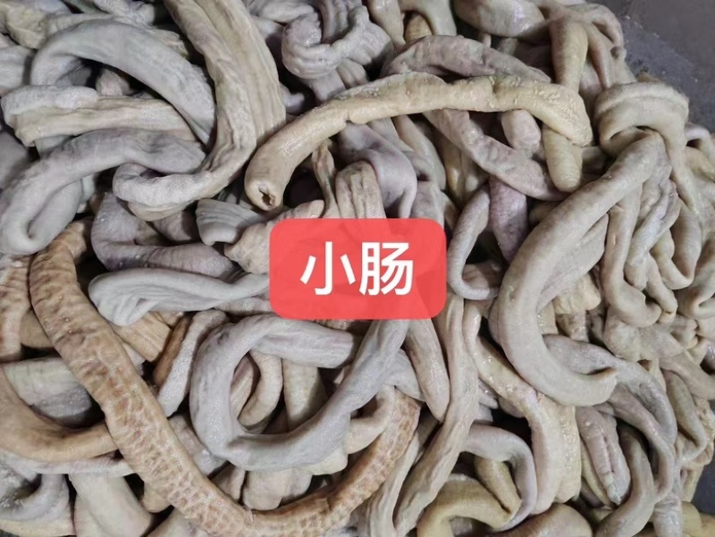 汕头牛副品批发:牛肠，省外60斤起批，货源稳定。每袋8斤