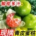 浙江台州蜜桔/早熟蜜桔/九甜一酸/现摘现发