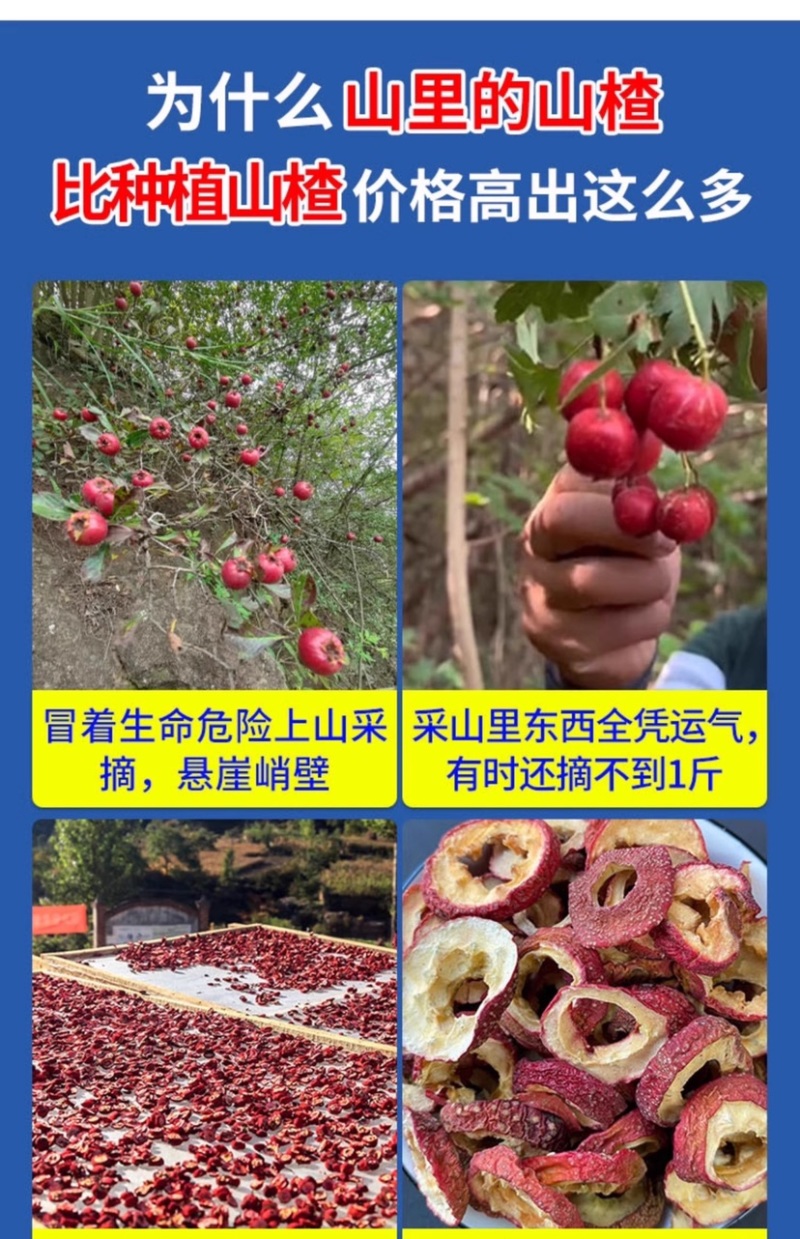 无核山楂片山楂干片泡茶片无硫中空心山楂新货山楂皮薄肉厚好