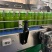 HPP仙人掌汁露水般清爽口感品质好价格优惠常年供应