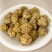 仙人掌蜜油（玉芙蓉）功效多工厂直发资质齐全品质好价格低