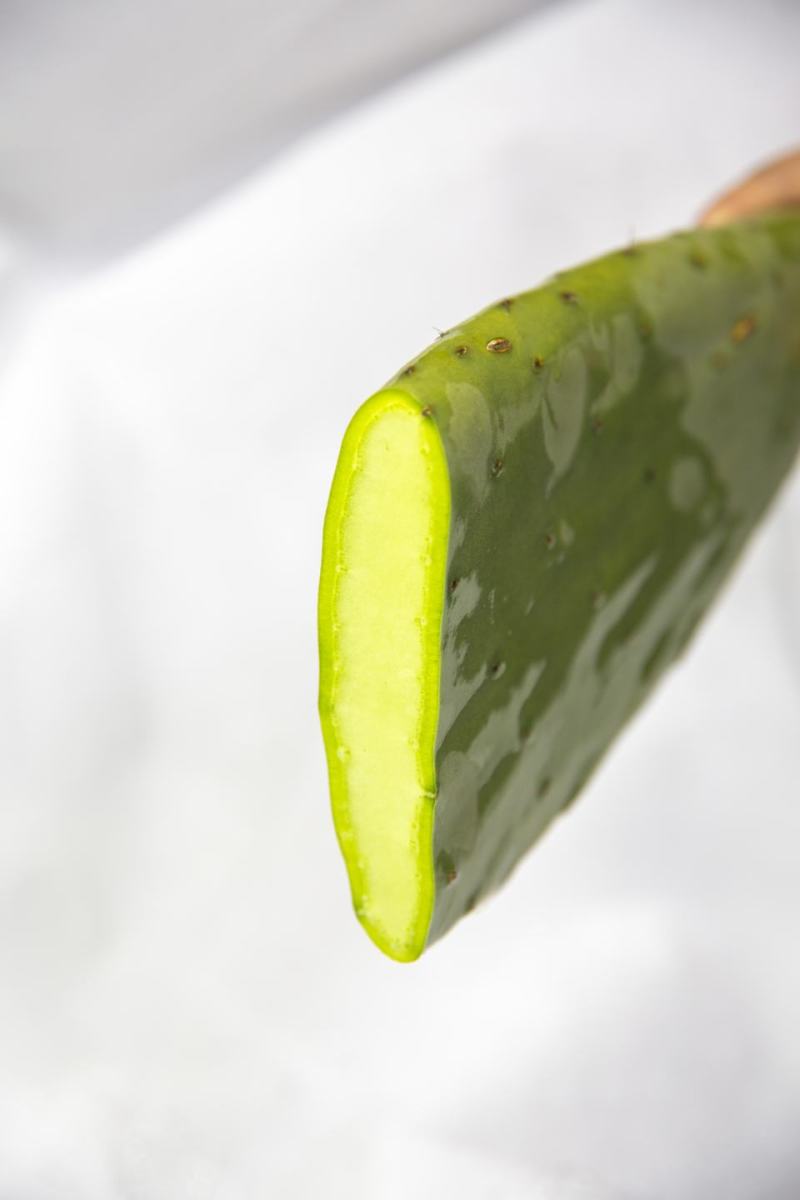 一亩绿-食用仙人掌速冻丁块