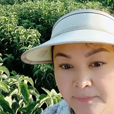 各种果树苗木，苹果苗，桃苗，杏苗，李子苗，山楂苗，梨苗，