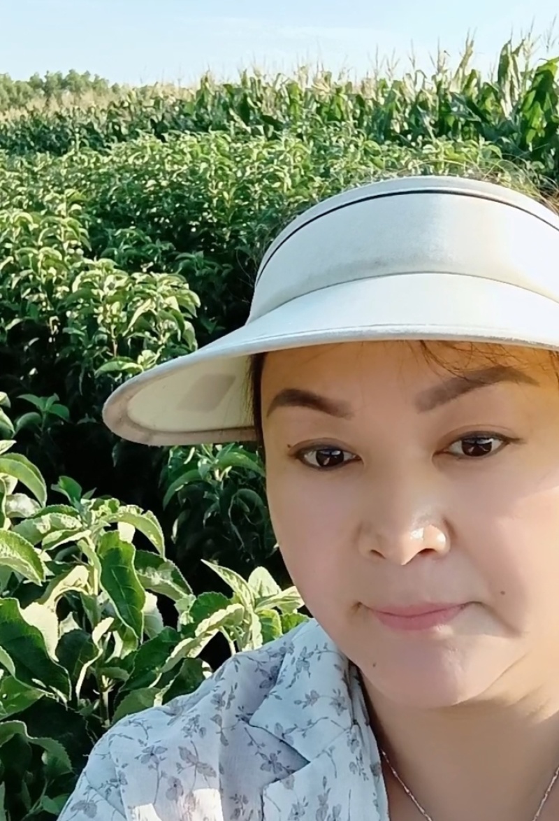各种果树苗木，苹果苗，桃苗，杏苗，李子苗，山楂苗，梨苗，