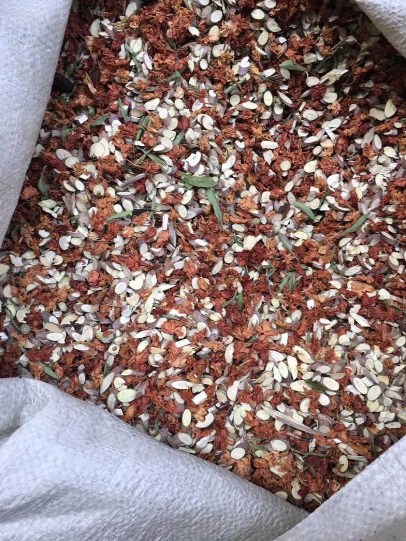 跑江湖金龙茶桑枝茶百花草百花茶罗汉果花红茉莉花益寿茶凉