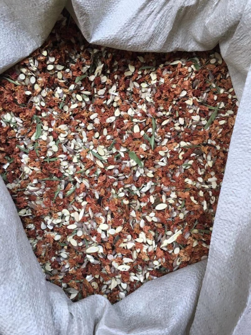 跑江湖金龙茶桑枝茶百花草百花茶罗汉果花红茉莉花益寿茶凉