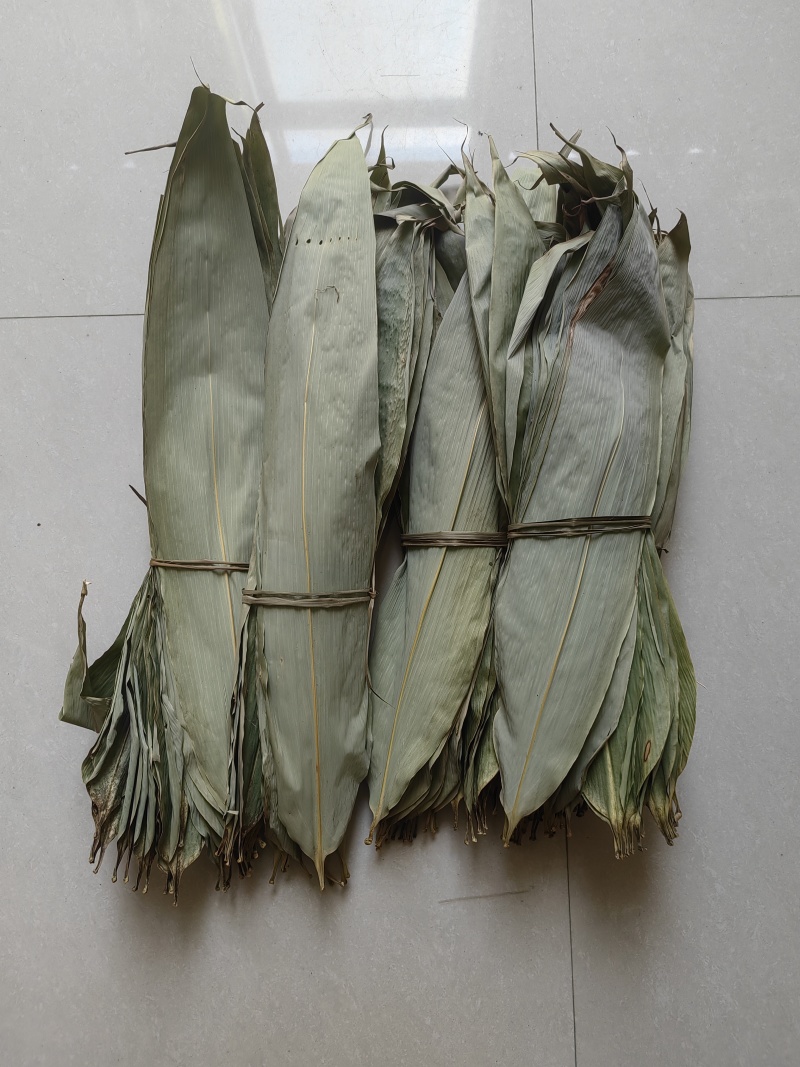 《粽叶》上饶武夷山野生干粽叶/上饶干粽叶/精品粽叶便宜