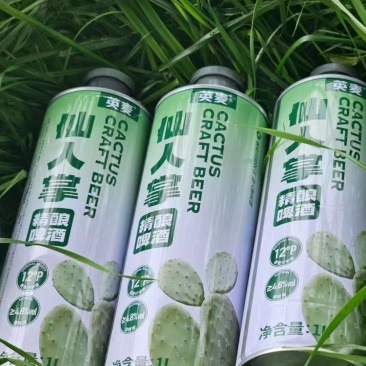 仙人掌啤酒口感好层次丰富价格优惠对接全国商超电商工厂直发