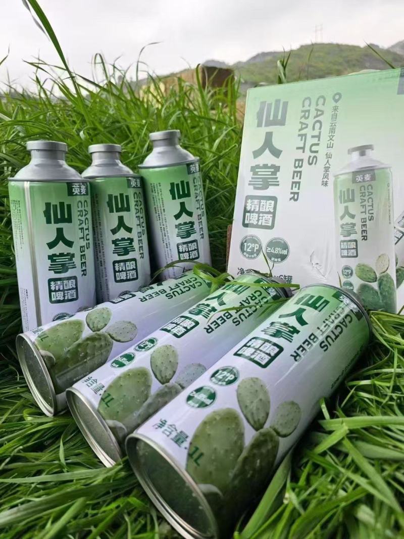 仙人掌啤酒口感好层次丰富价格优惠对接全国商超电商工厂直发