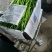 山东临沂线椒大量供应/精品辣椒线椒一手货源对接全国