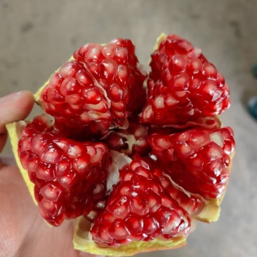 会理石榴，产地直发，品质保正。