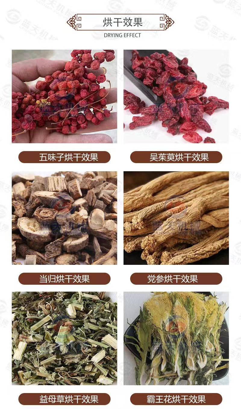 烘干五味子机器五味子电烤房中药材五味子烘干房五味子风干机
